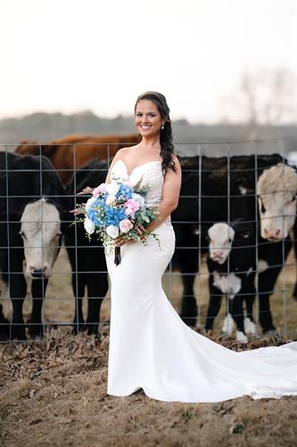 Gallery Image JMC-5_copy.JPG