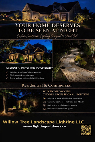 Outdoor Lighting Professional 