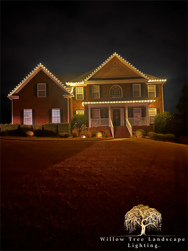 Christmas / Holiday Lighting. We have done RGB lights to music sequences for several years. And were featured on WLTX tv in 2022. 