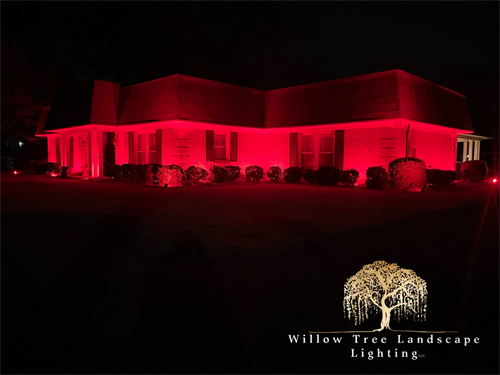 This system was also color changing. A Very Bright was to show the Dark Side. They had to be Star Wars fans! They liked the red!