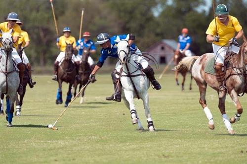 Holland Barn Wine and Polo Venue Holland Barn Wine and Polo Venue