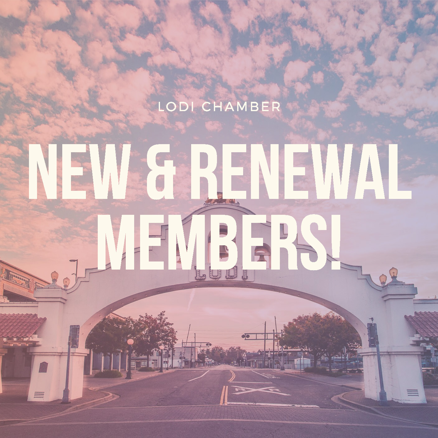 February New & Renewal Members!