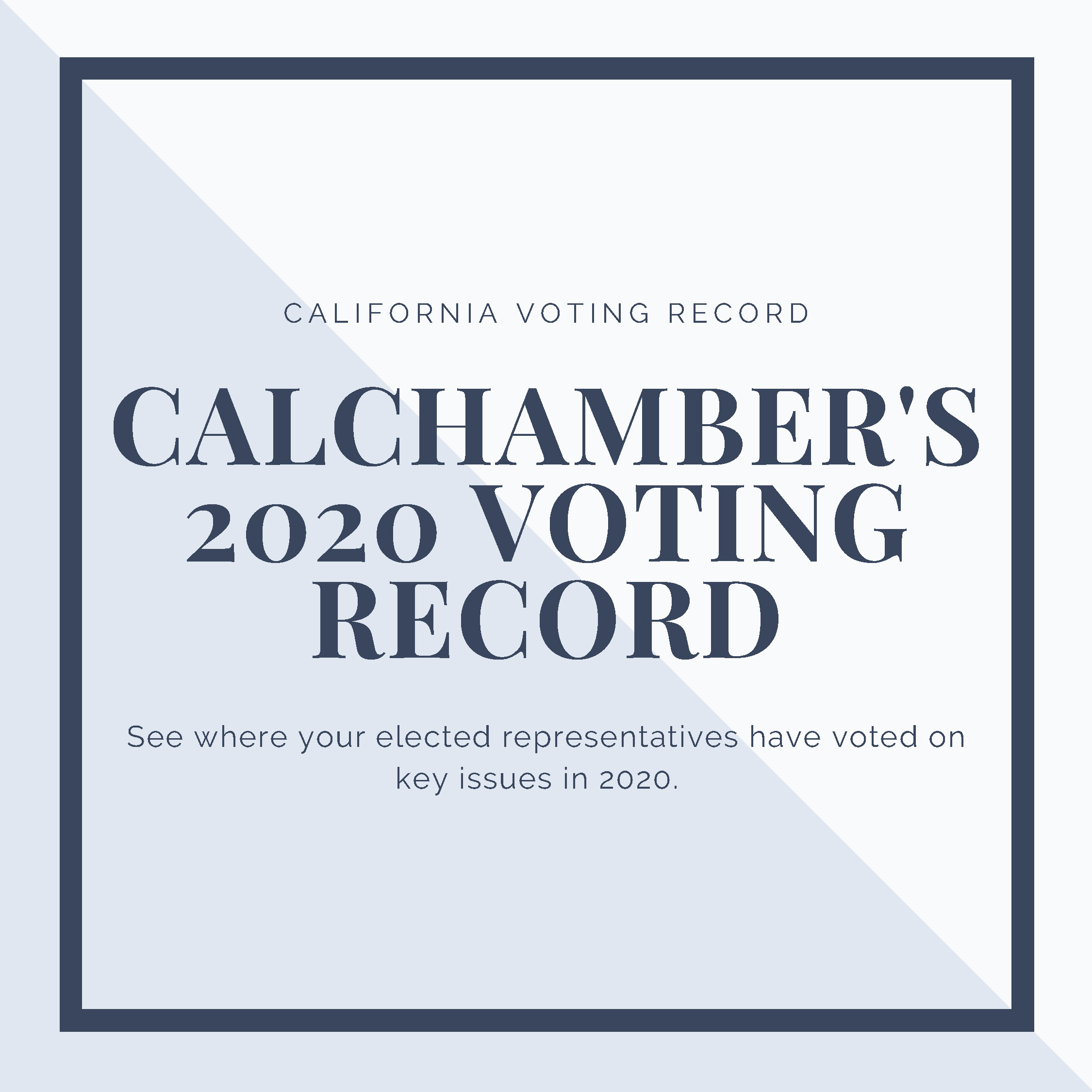 2020 Voting Record