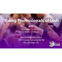 Young Professionals of Lodi Mixer