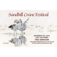 Sandhill Crane Festival