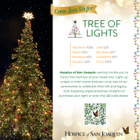 Hospice of San Joaquin Tree of Lights