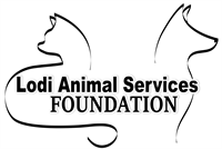 Lodi Animal Shelter Open House