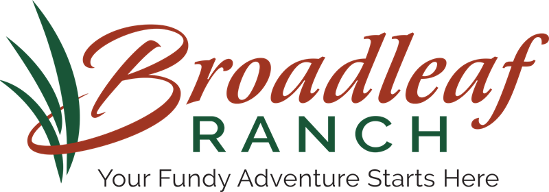 Broadleaf Guest Ranch