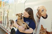 American Humane Society advocates Spay and Neuter Awareness Month