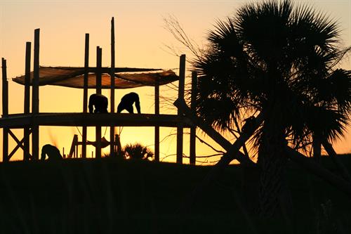 Sunset at Save the Chimps