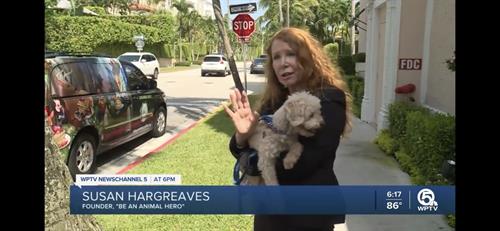 Wptv, Yahoonews and MSN picked up this news report about the “Be an Animal Hero’’ campaign, aiding all species of anima