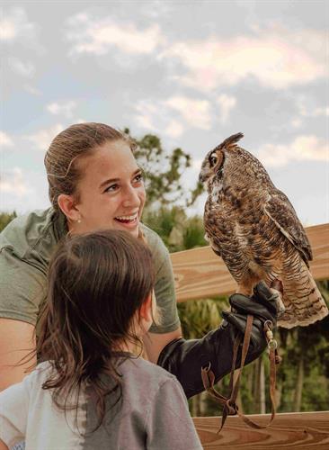 Owl with guest