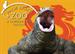 DragonFest at Palm Beach Zoo