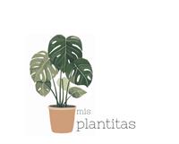 mis plantitas