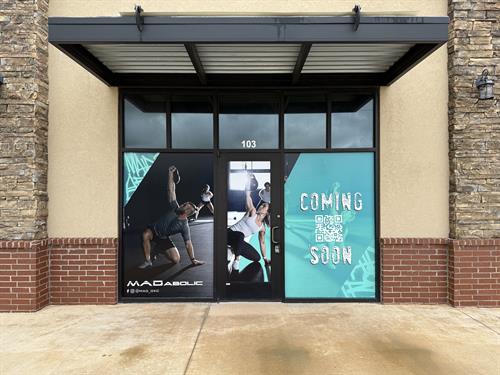 Gallery Image Window-graphics-7.jpg