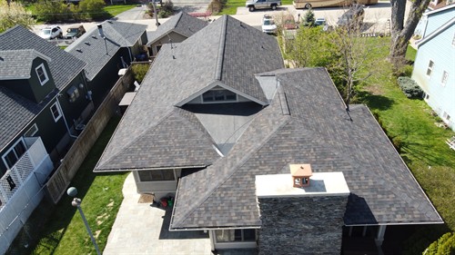 Gallery Image Falco1_(7).JPG