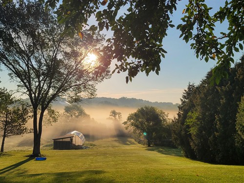 Gallery Image Yard_Fog.jpg