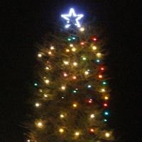 Silverdale Christmas Tree Lighting