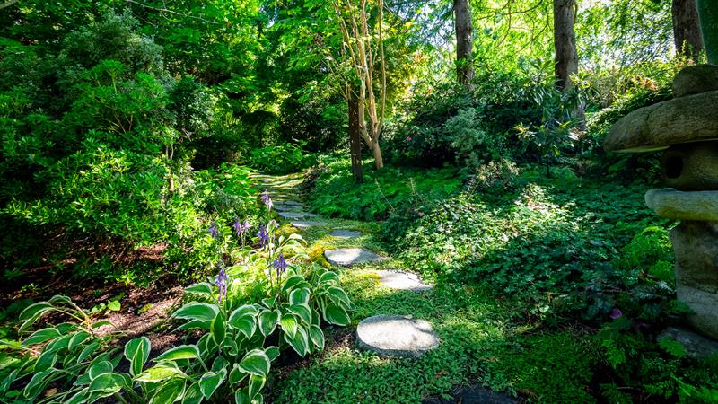 Vista Gardens rain garden