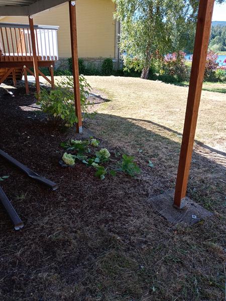 After After