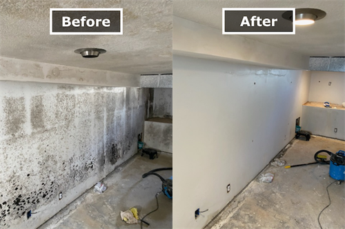 Gallery Image 63e542d7e03147717fcf5d80_mold-before-after.png