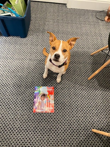 Gallery Image IMG_0053.jpg