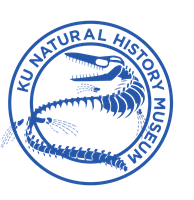 University of Kansas Biodiversity Institute and Natural History Museum