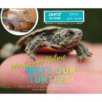 Meet the Animals of the Prairie Grass Nature Museum!