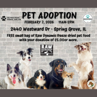 Nature's Feed Pet Adoption Event
