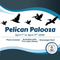 Pelican Palooza