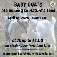 Come Meet the Baby Goats from Glacier View Farm