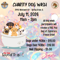Charity Dog Wash