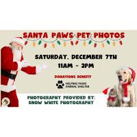 Santa Paws Pet Photos