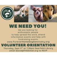 Furever Home Dog Sanctuary  