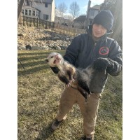 Fur Busters Corporation