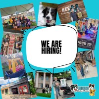 Reeses Barkery & Pawtique