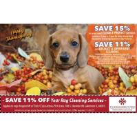 Clean Bee - Lakemoor