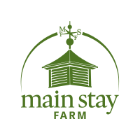 Spring Blossoms Workshop