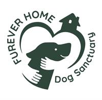 Furever Home Dog Sanctuary  