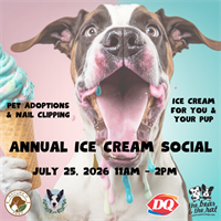 Annual Ice Cream Event