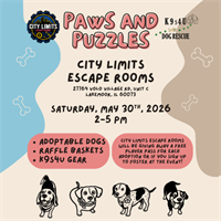 Paws and Puzzles