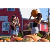 October adventures await at home of ‘World’s Largest’ Corn Maze