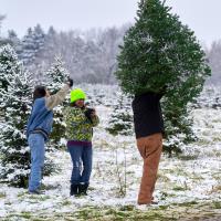 Richardson Christmas Tree Farm opens Nov. 28