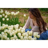 Richardson Farm Tulip Fest ’26 to open on Earth Day, April 22