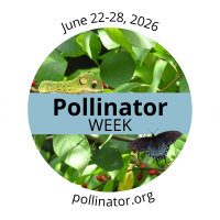 Many Opportunities to Celebrate Pollinator Week in McHenry County!