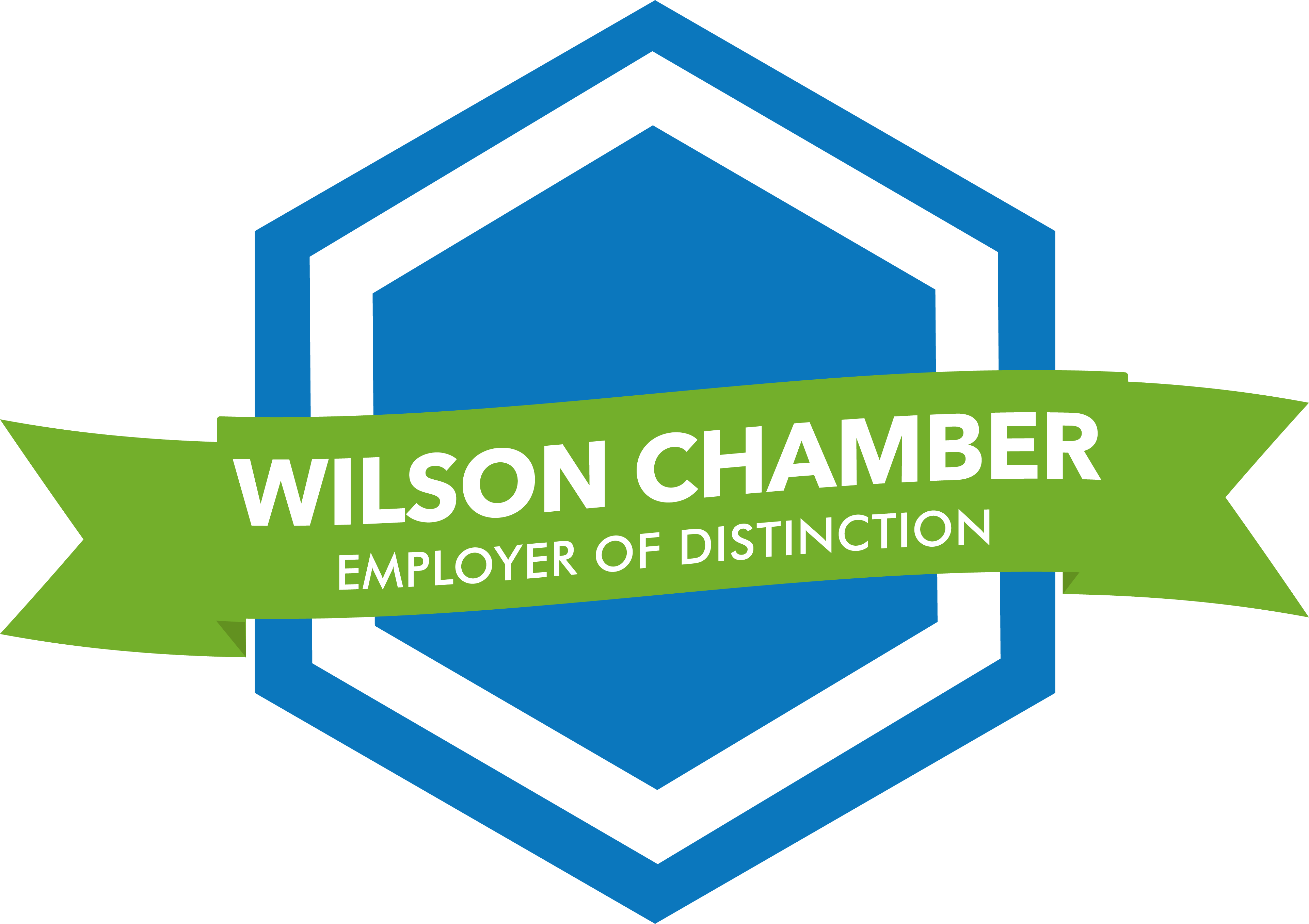 Image for Chamber launches Employer of Distinction program