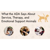 What the ADA Says about Service, Therapy, and Emotional Support Animals