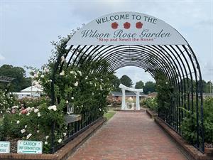 The Wilson Rose Garden