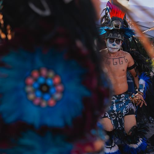 Gallery Image 7IV07188.jpeg