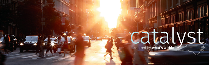 Catalyst Advisors & Consultants